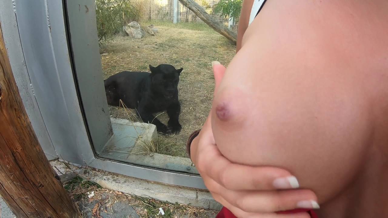 Esse casal fica excitado no zoológico e ele ejacula nos peitos dela
